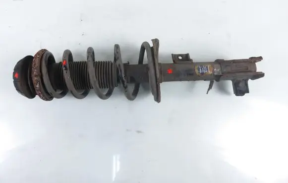 Fiat Sedici Front shock absorber with coil spring 
