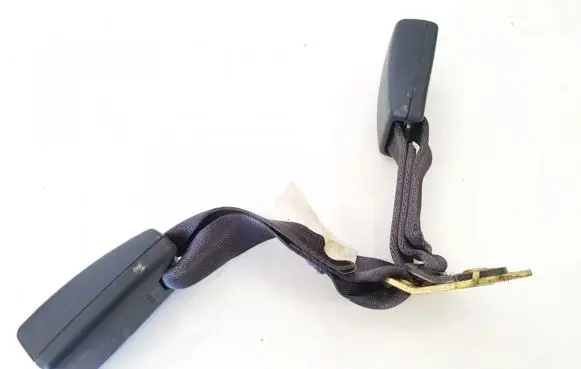 Chrysler 300 - 300C Rear seatbelt buckle 2021686
