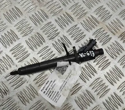 Land Rover Discovery 5 Fuel injector FW939K546AA