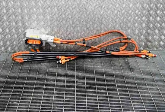 Other wiring loom