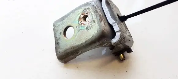 Citroen C5 Rear door lower hinge