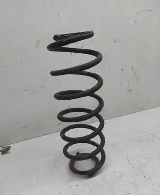 Rear coil spring