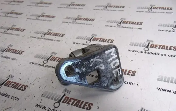 Mercedes-Benz E W211 Front door lower hinge 