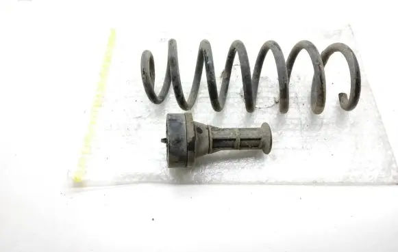 Nissan Qashqai Rear coil spring