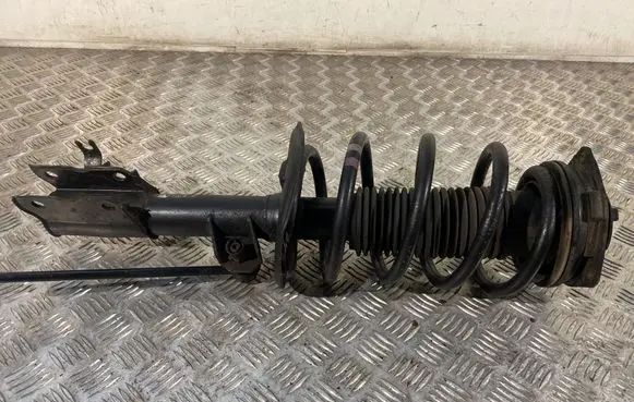 Nissan Qashqai Front shock absorber with coil spring 54303BR04A 8249030080
