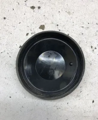 Volkswagen PASSAT B6 Headlight/headlamp dust cover 153873