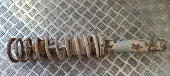 Rear shock absorber/damper
