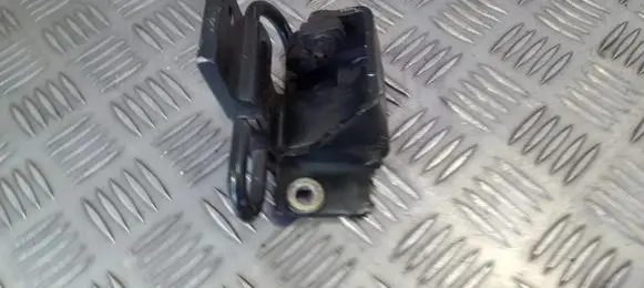 Rear door lower hinge