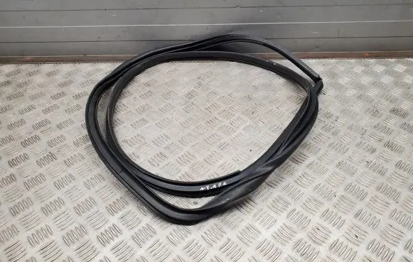 Lexus NX Front door rubber seal