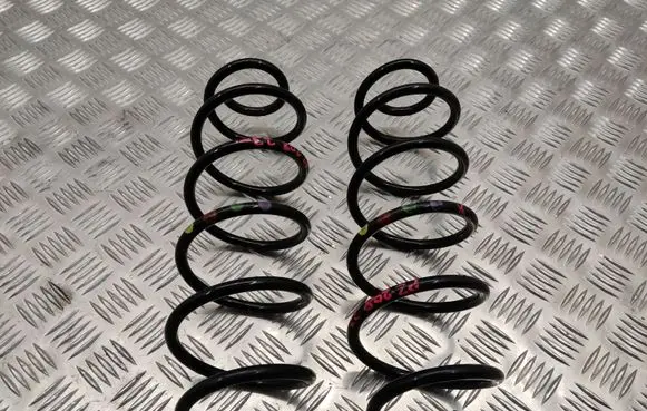 Rear coil spring