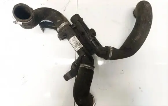 Peugeot 406 Intercooler hose/pipe