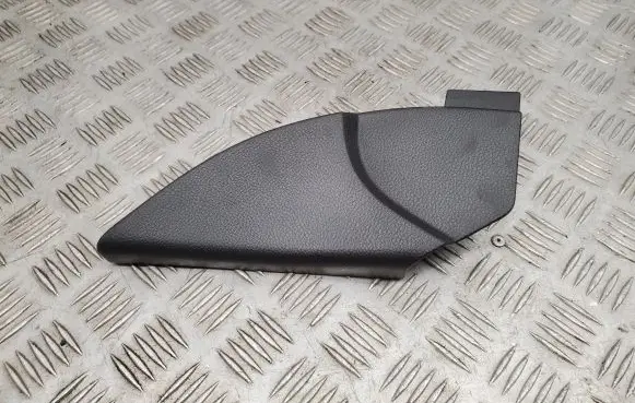 Dodge RAM Other front door trim element 1HA43TRMAA