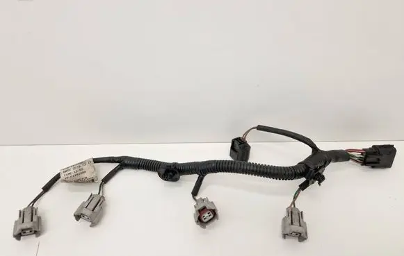 Renault Espace V (RFC) Fuel injector wires 240118510R F1142289