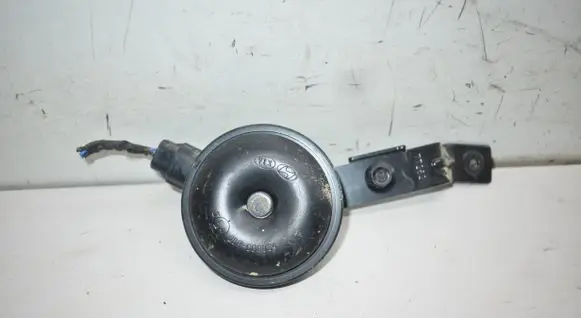 Horn signal
