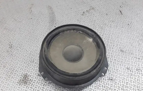 Front door speaker
