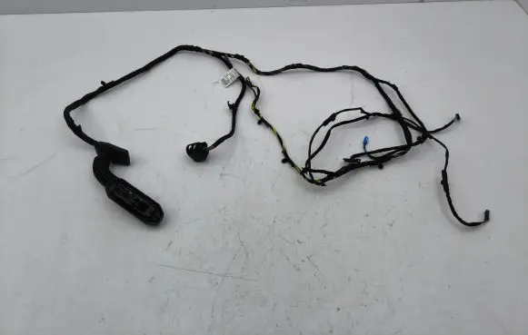 Mini Cooper Countryman R60 Rear door wiring loom 514033C13 9811219