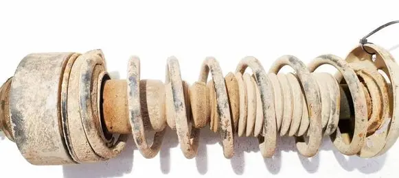 Rear coil spring