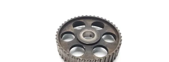 Volkswagen Golf III Camshaft pulley/ VANOS 069109111