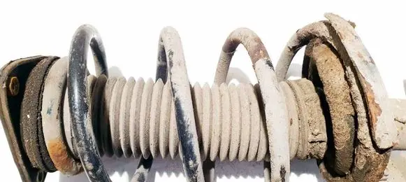 Volvo C30 Front coil spring 