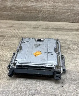 Peugeot 206 Engine control unit/module 9637089980 0281010250