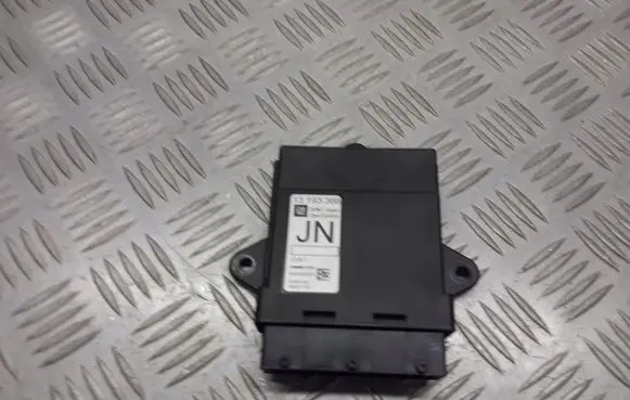 Opel Vectra C Door control unit/module 13193367