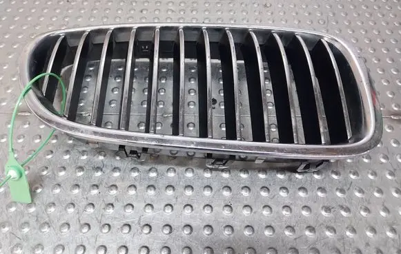 BMW 5 F10 F11 Front bumper upper radiator grill S18031089 7200728