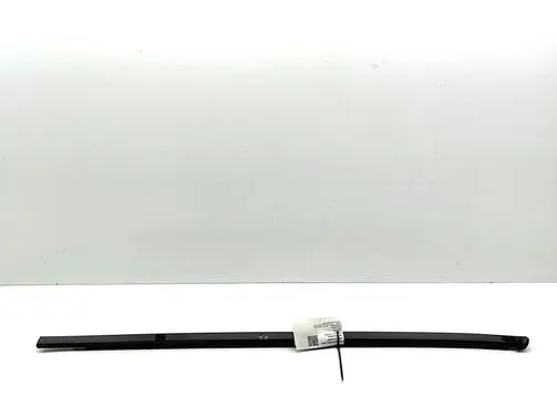Nissan Ariya Front door glass trim molding 808215MP0A