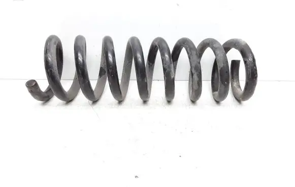 Rear coil spring