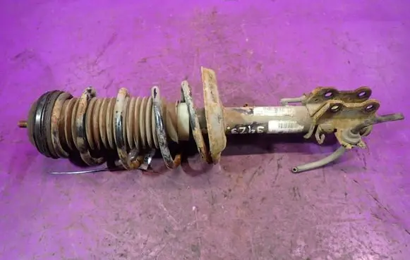 Fiat Punto (199) Front shock absorber with coil spring 