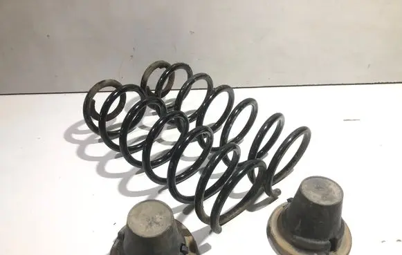 Citroen C4 Grand Picasso Rear coil spring KYB