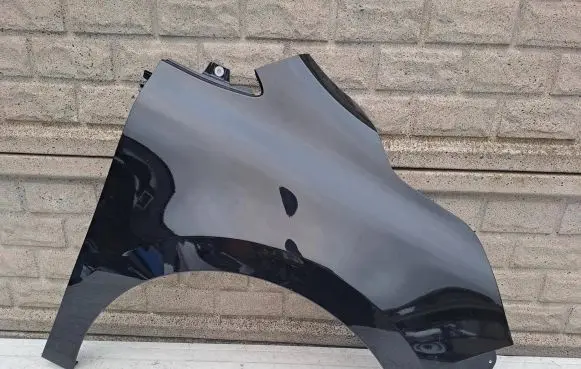 Renault Kangoo III Fender