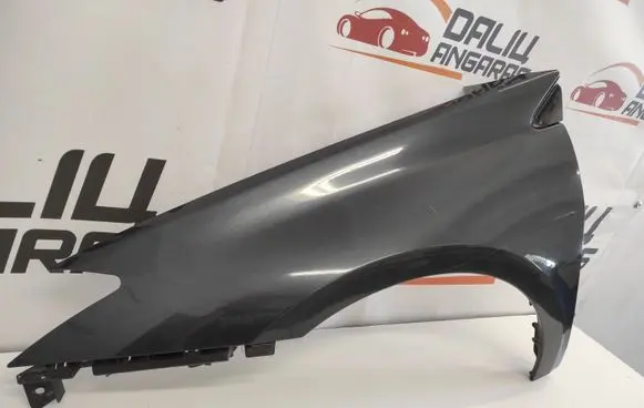 Renault Laguna III Fender