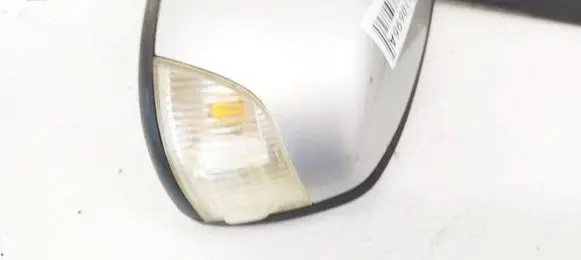 Ford Focus C-MAX Mirror indicator light 