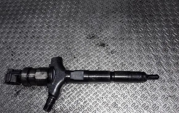 Renault Espace - Grand espace IV Fuel injector 8972391617