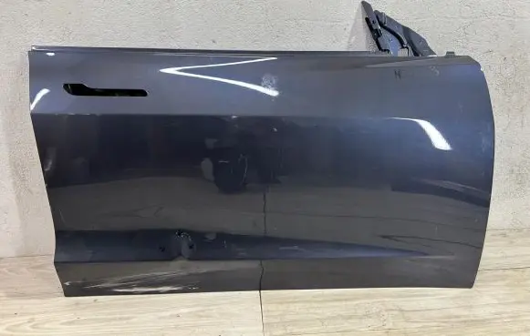 Tesla Model 3 Front door
