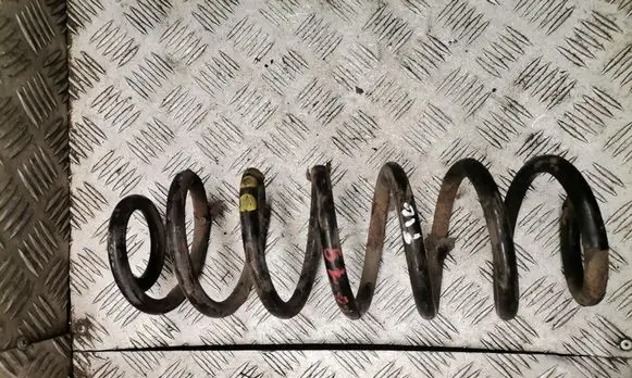 Volkswagen Tiguan Rear coil spring 