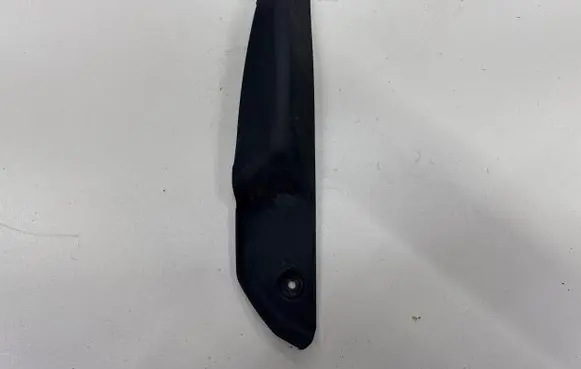 Rear/tail light trim molding