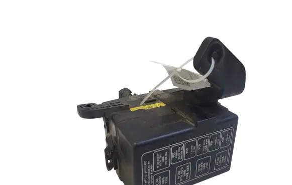 Hyundai Santa Fe Fuse module 91162B010