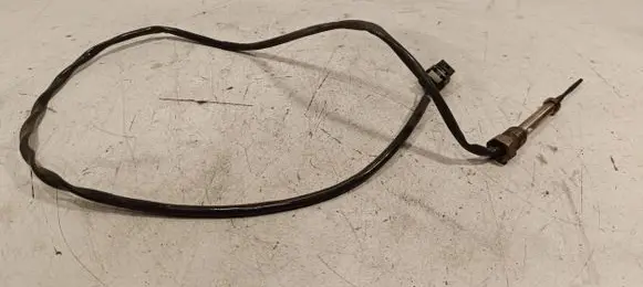 Exhaust gas temperature sensor