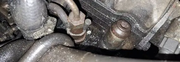 Peugeot 406 Fuel injector 