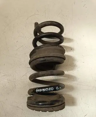 Rear coil spring