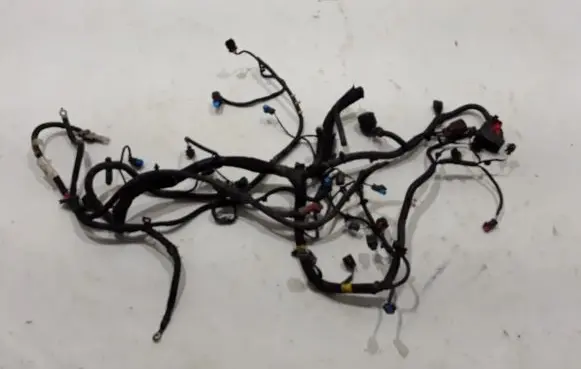 Engine installation wiring loom