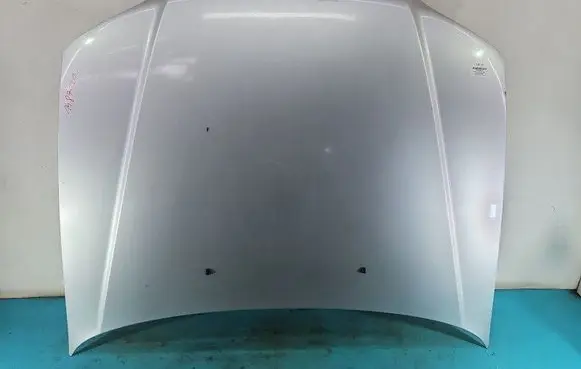 Engine bonnet/hood