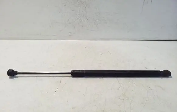 Tailgate/trunk strut/damper