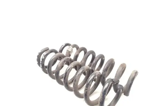 Rear coil spring