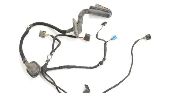 Volkswagen PASSAT B7 Rear door wiring loom 561971693AD