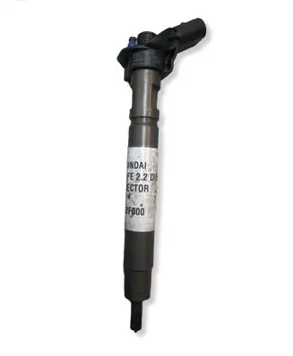 Hyundai Santa Fe Fuel injector 338002B000 0445116018