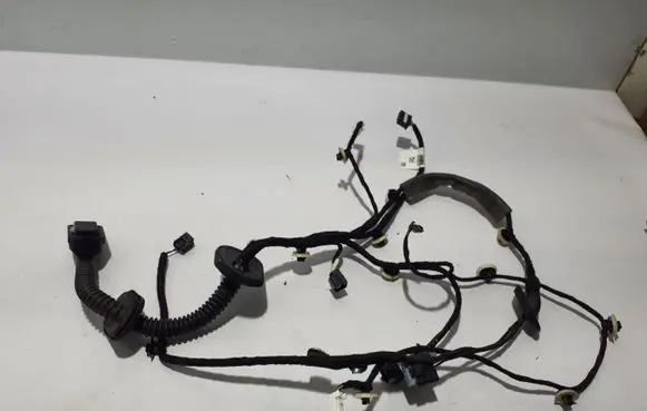 Renault Arkana Other wiring loom 241254422R