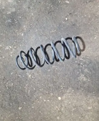 Rear coil spring