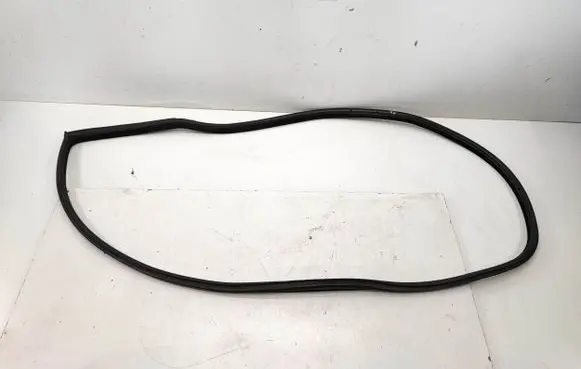 BMW 3 E92 E93 Front door rubber seal 7119091